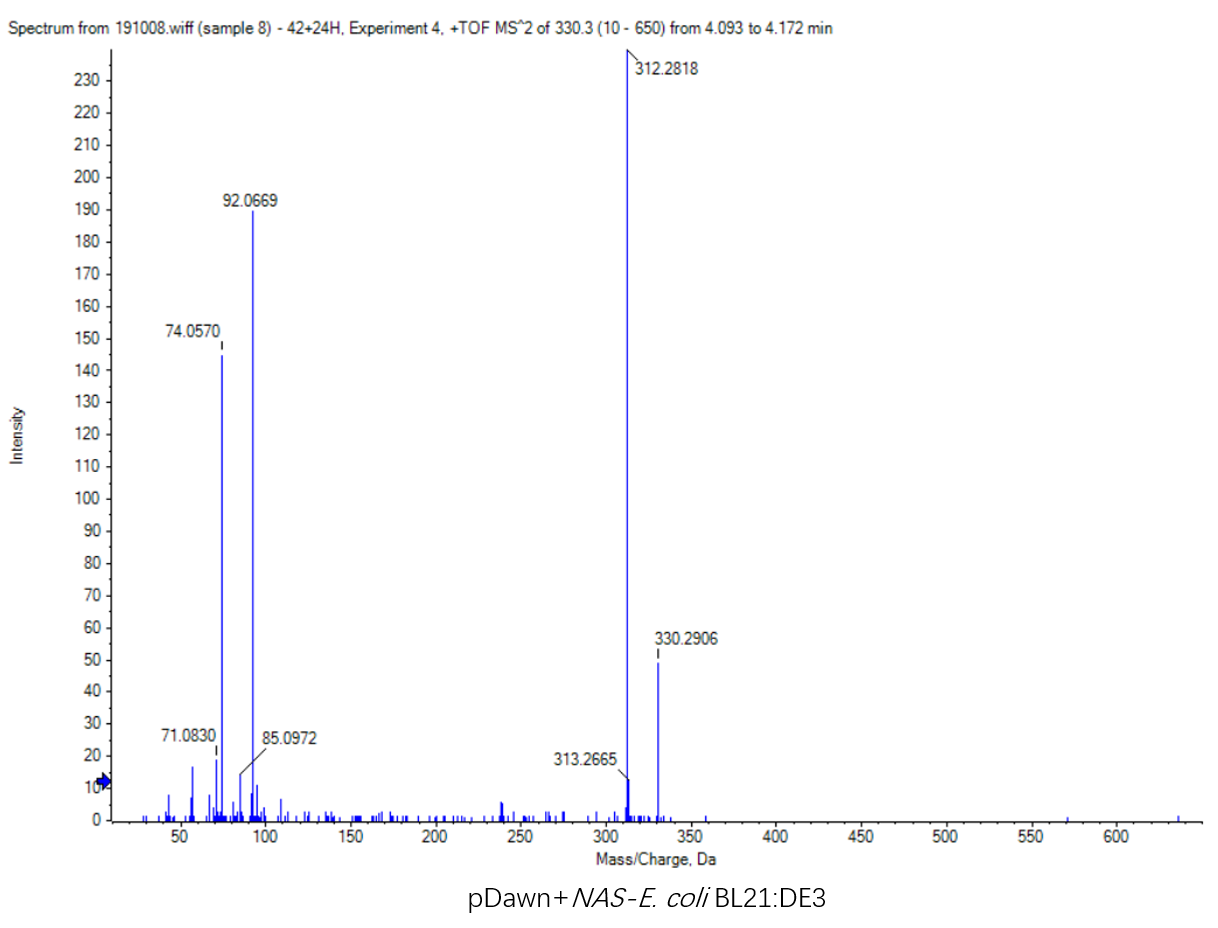 The fragmentation peak of pDawn-Nas E.coli:DE3