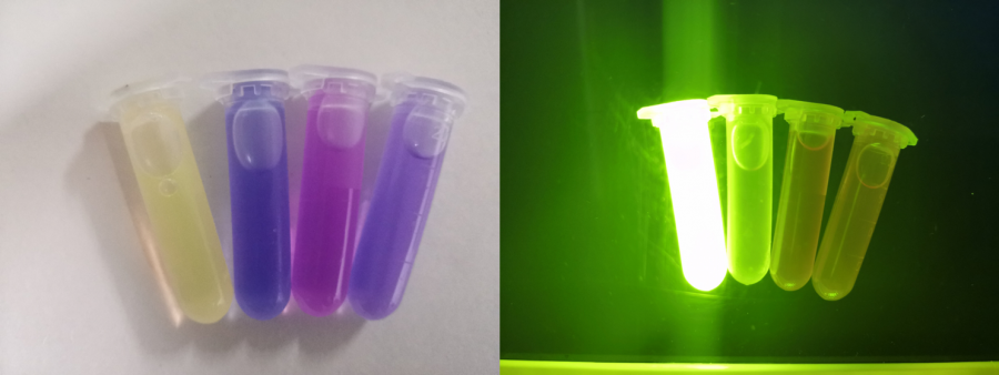 fluorescence of fwYellow.