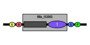 BBa I52002.png