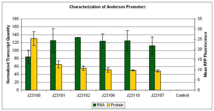 2009 VCU iGEM Anderson promoter with RNA measurements.png