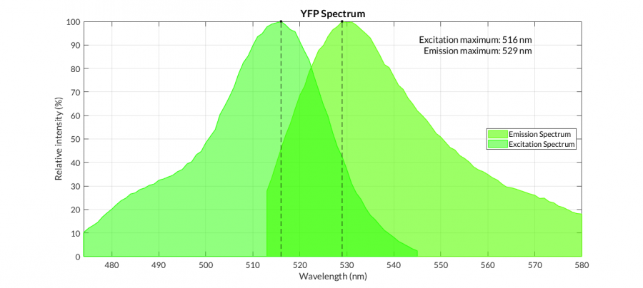YFP spectra.