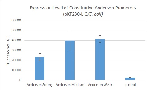 Expression Level for anderson-citrine (pKT230-Lic).jpg