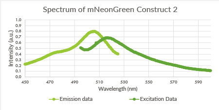 TU Eindhoven mNeonGreen Construct2.png