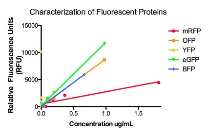 Fluorescent proteins characterization.jpg