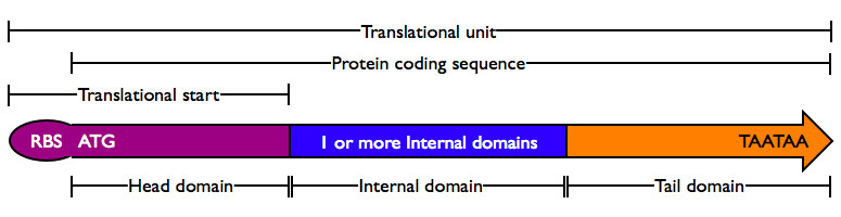 ProteinDomains.png