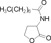 Octanoyl-homoserine lactone.GIF