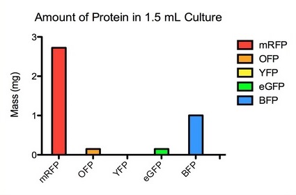 Fluorescent proteins Amounts.jpg