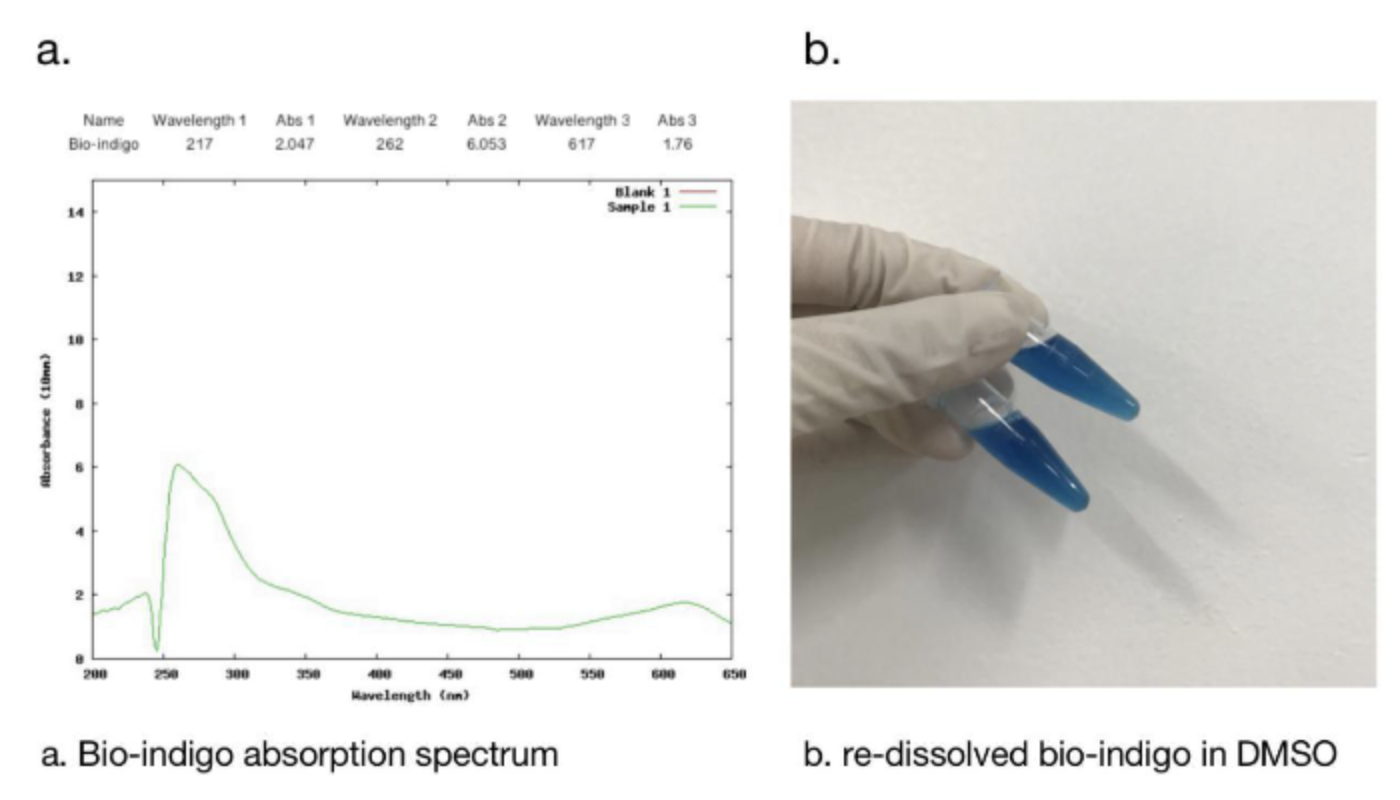 Bioidigo absorption spectrum.png