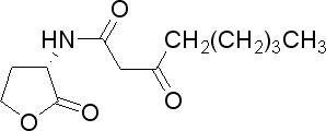 3-Oxooctanoyl-L-homoserine lactone2.GIF