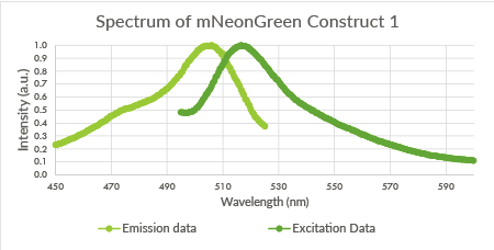 TU Eindhoven mNeonGreen Construct1.png