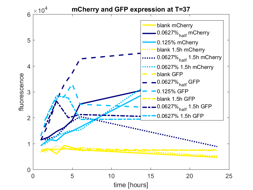 T-TU-Eindhoven--pBAD vector mCherry and GFP best results.png