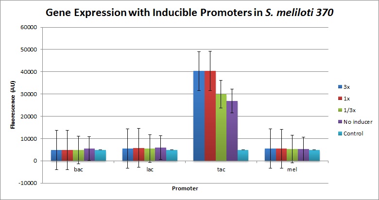 Expression Level for inducible promoters in S meliloti (pPZP200-LIC).jpg