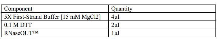 SCUT2015 China PCR2.jpg