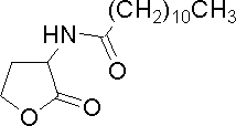 Dodecanoyl-homoserine lactone.GIF