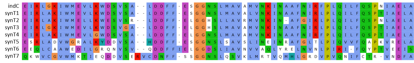 Multiple Sequence Alignment of the synthetic T-domains we introduced to indC