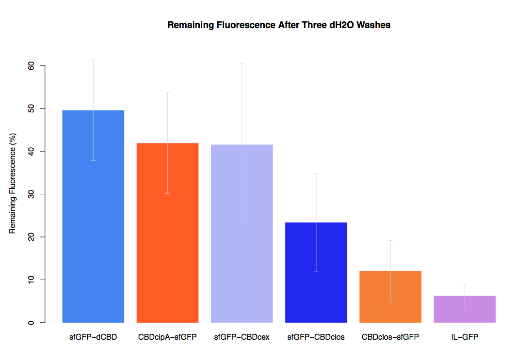 Figure 1 - CBD-sfGFP binding strength assay after three ddH2O washes