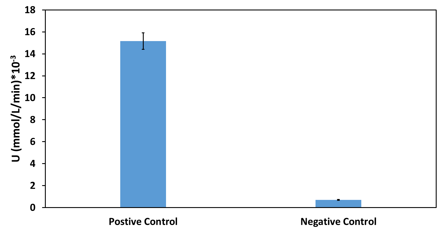 Fig. 1 The activity for extracellular fractions of Positive Control and Negative Control