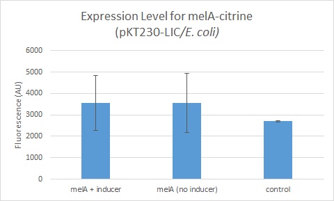 Expression Level for melA-citrine (pKT230-Lic).jpg