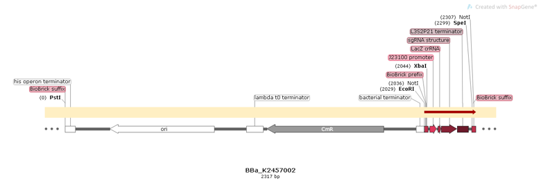 BBa K2457002 alignment.png