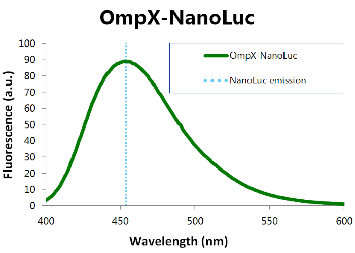 TU Eindhoven Bioluminescence Results OmpX-NanoLuc.jpg