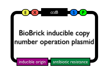 BioBrickinduciblecopyoperationvector.png