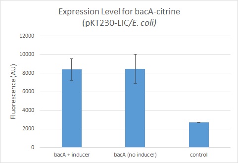 Expression Level for bacA-citrine (pKT230-Lic).jpg
