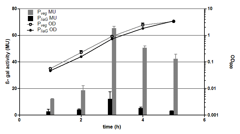 600px]  Fig. 1: β-galactosidase assay and growth curve of strains carrying the promoters PliaG (black) and Pveg (grey) fused to lacZ. β-galactosidase activity (Miller Units)and the growth curve values are the average of two independant clones with their standard deviation that were measured during the same experiment. Experiment shows representative data which was obtained in the same way from three independent experiments.