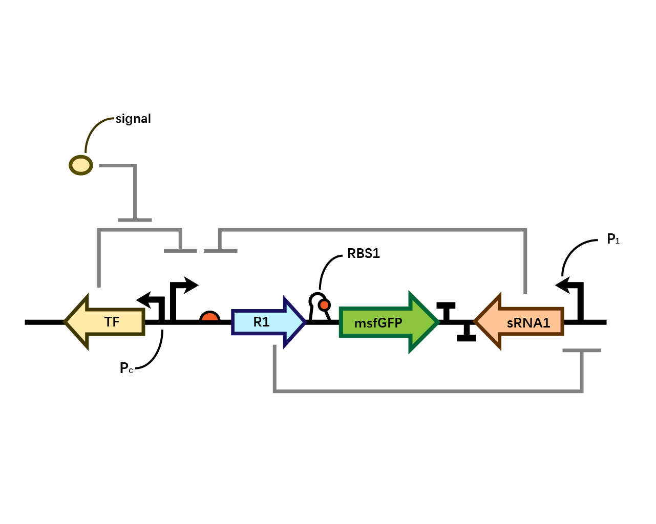 Single Layer of Bistable System