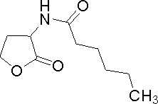 Hexanoyl-homoserine lactone.GIF