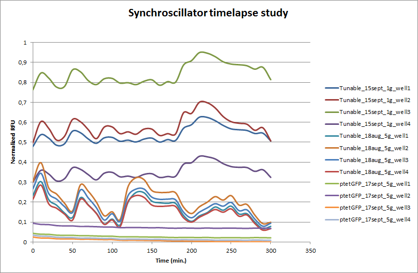 Synchroscillator timelapse study.png