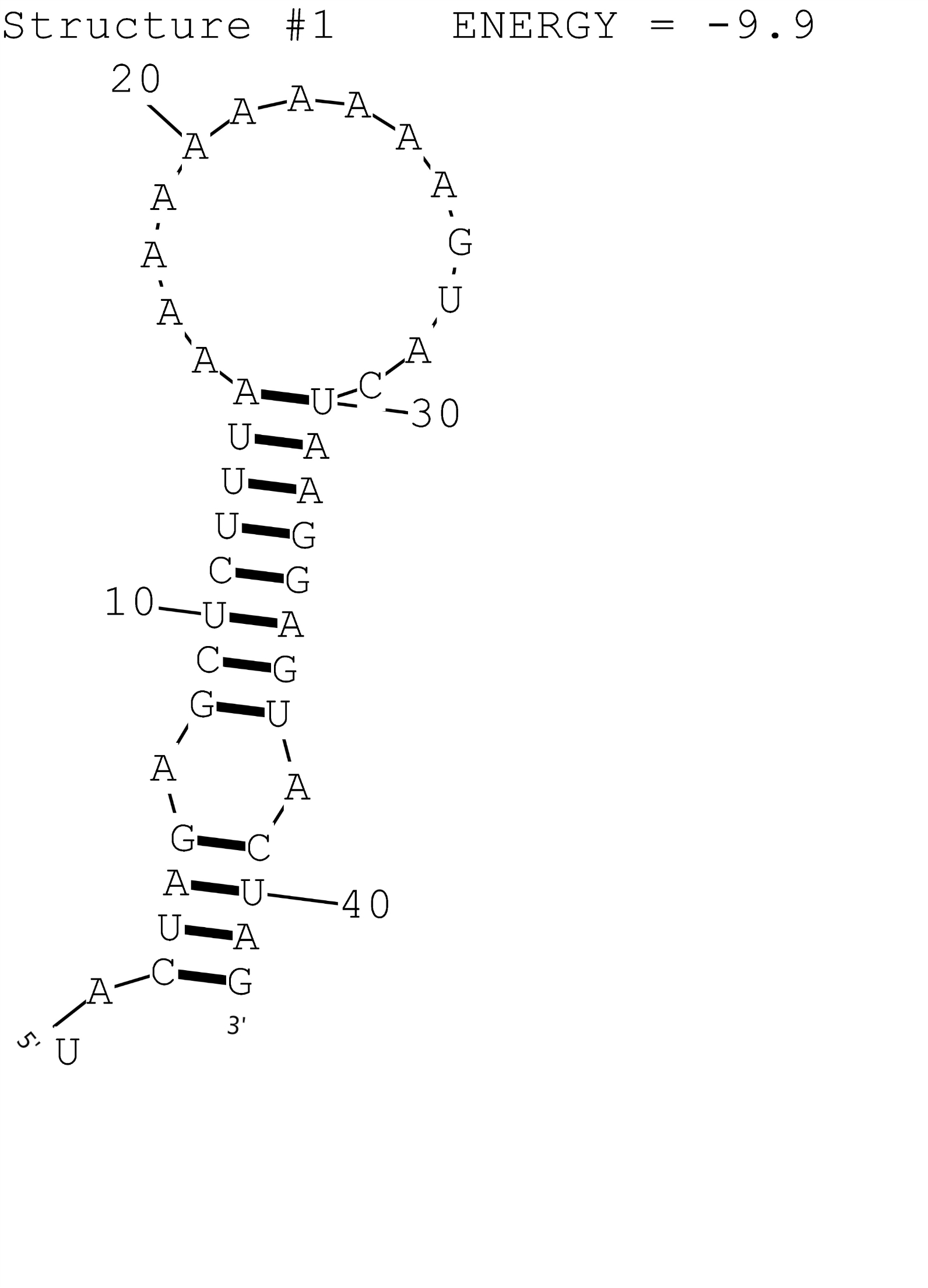 A1 RNA Thermometer.jpg