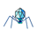 Bacteriophage T7