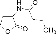 Butryl-homoserine lactone.GIF