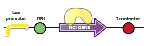 Rci sys.png