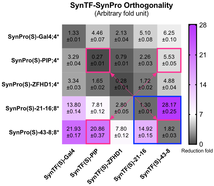 Figure 3: the SynTF-SynPro pairs’ Orthogonality. Grids in blue rectangle showed that SynTF-SynPro pairs constructed by using SynZF as DBD with well orthogonality. Grids in pink rectangles replaced our favorite SynTF-SynPro pairs. At least 20,000 cells were analyzed for each condition in both histogram and each grid in heat map. Data are recorded by FACS at 24h after cotransfecting.
