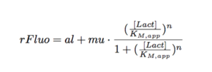 ETH15 equation.png